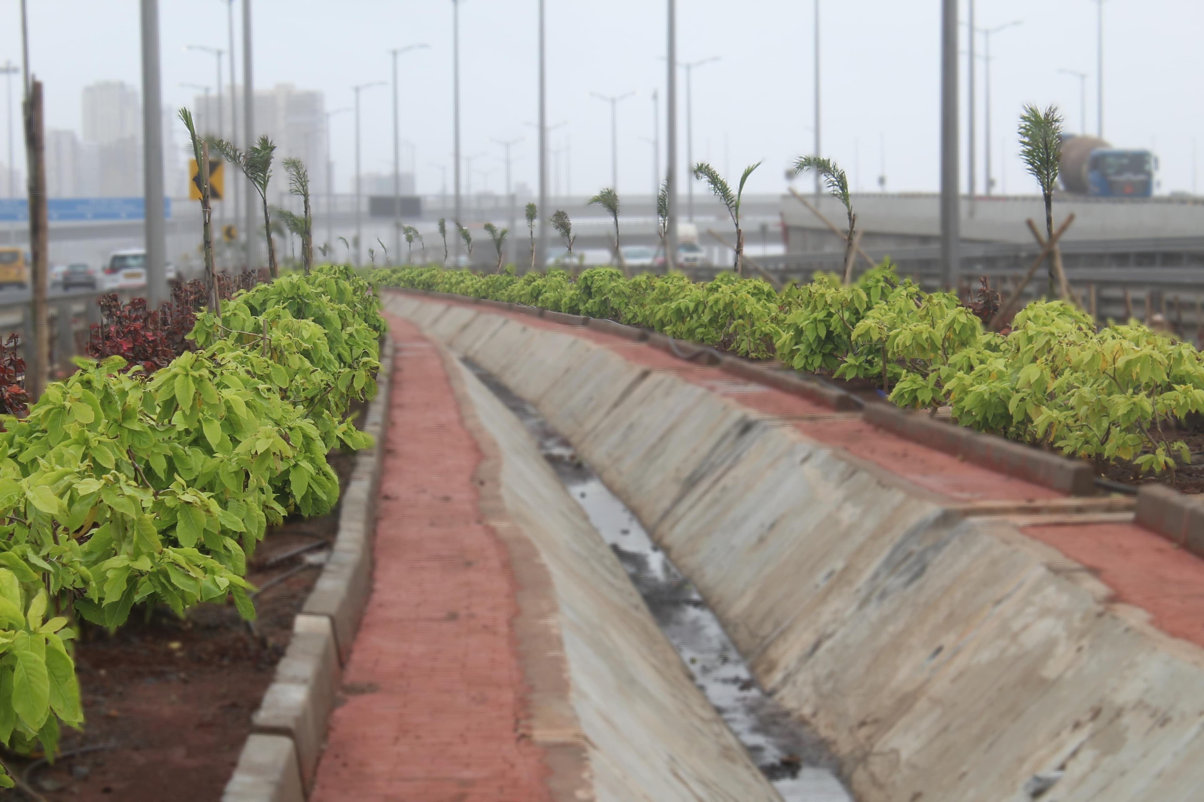 Coastal Road horticulture and infrastructure project