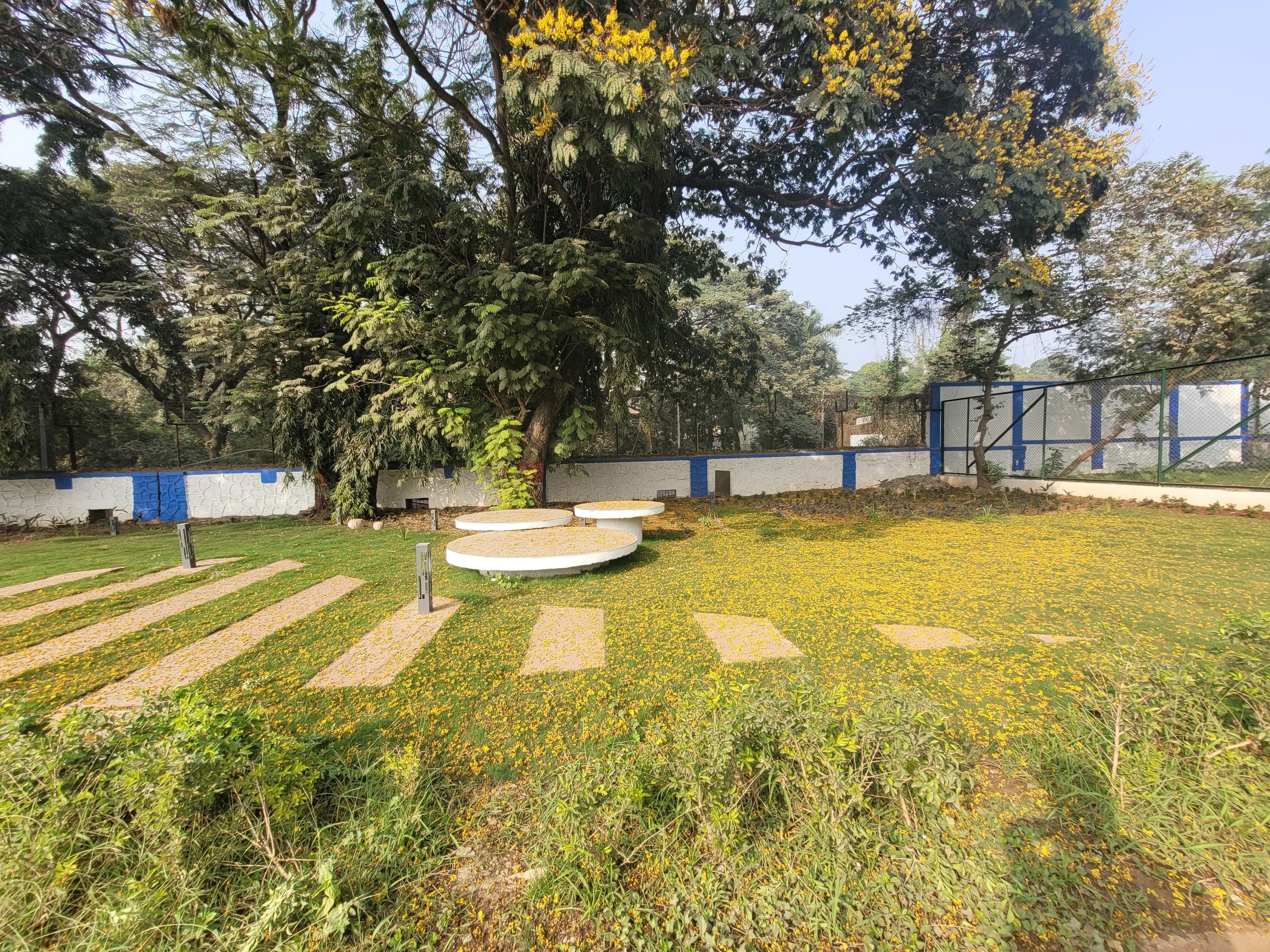 tataSport-9